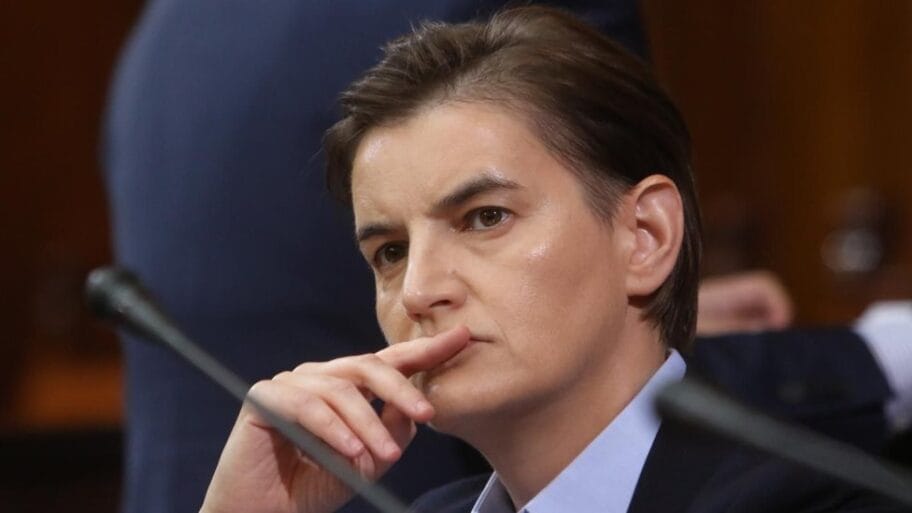 110595329 33576776 b