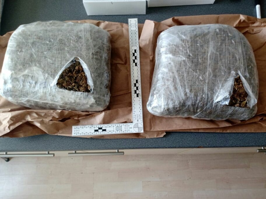 Marihuana foto PU Nis