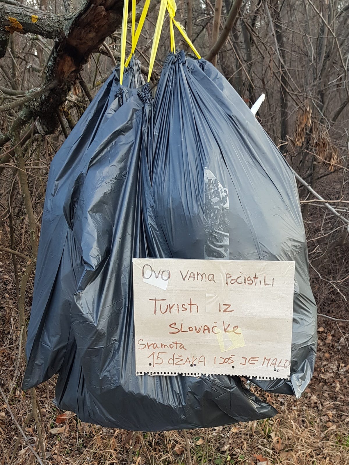 Smece Bubanj 2 foto citalac