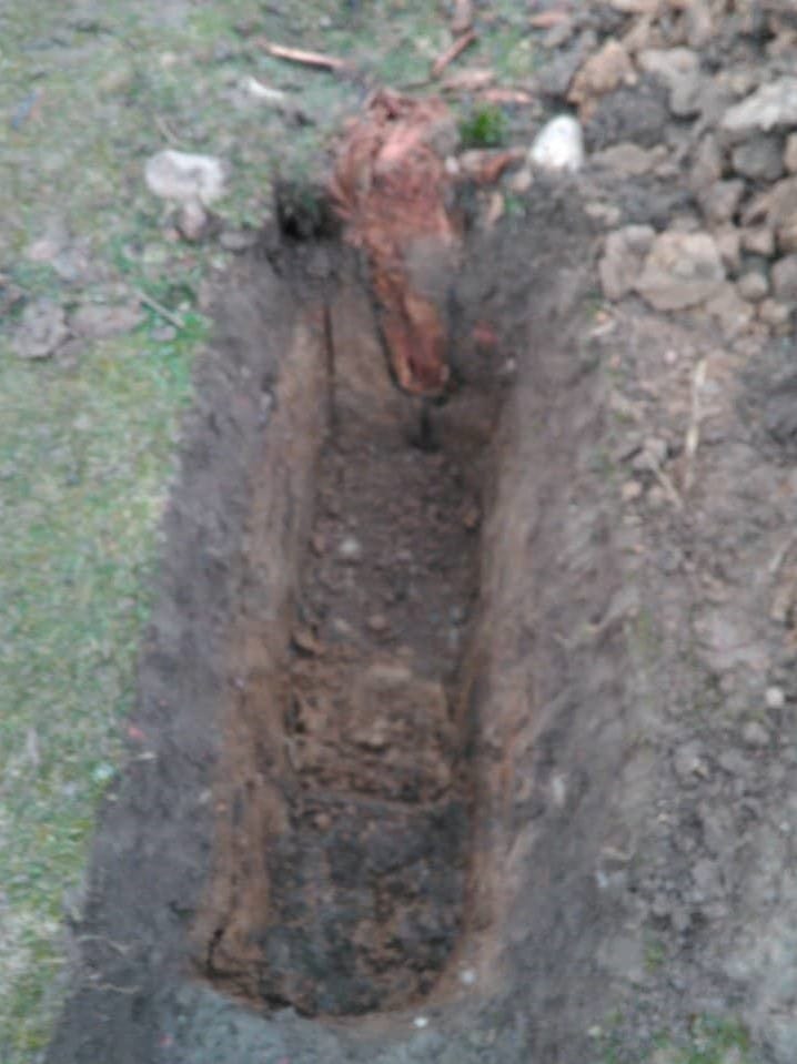 83888318 610688483047837 8458417333277294592 n