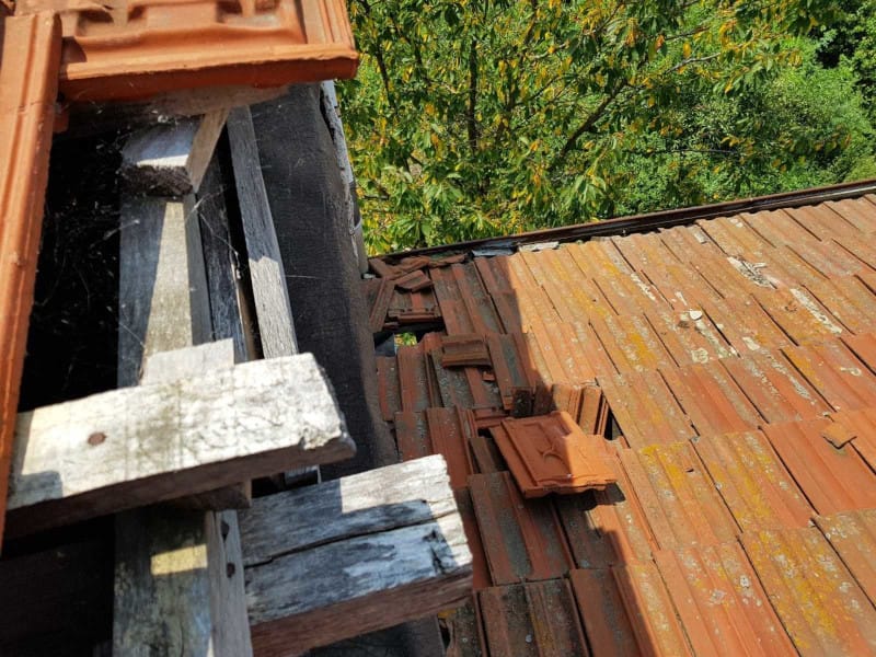 IMG 48b47521b4856cc70d5e0592c19457a1 V