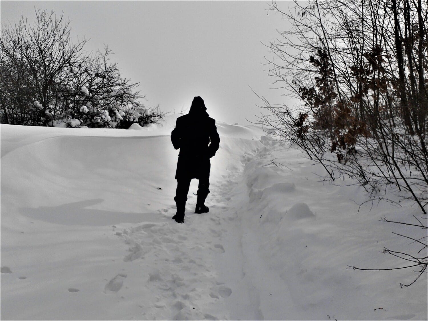 U Crnoj Travi prohodni skoro svi putevi, vanredna situacija i dalje na snazi 1 sneg FOTO ALEKSANDAR KOSTIC