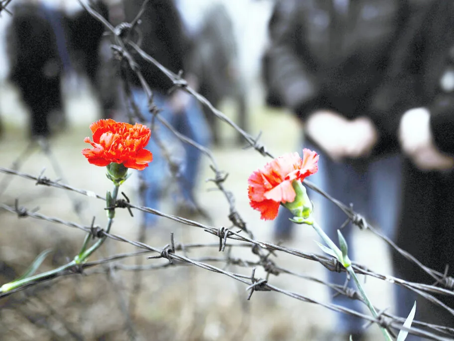 logor3 2020 foto vkeser