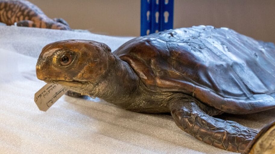 110841481 museumpic2