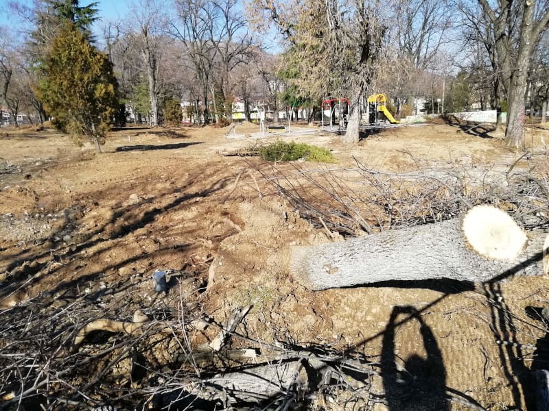 84083089 614525246036578 2838005855373230080 n