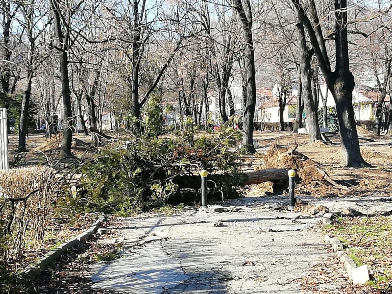 85237249 857945911316775 2515471008492683264 n