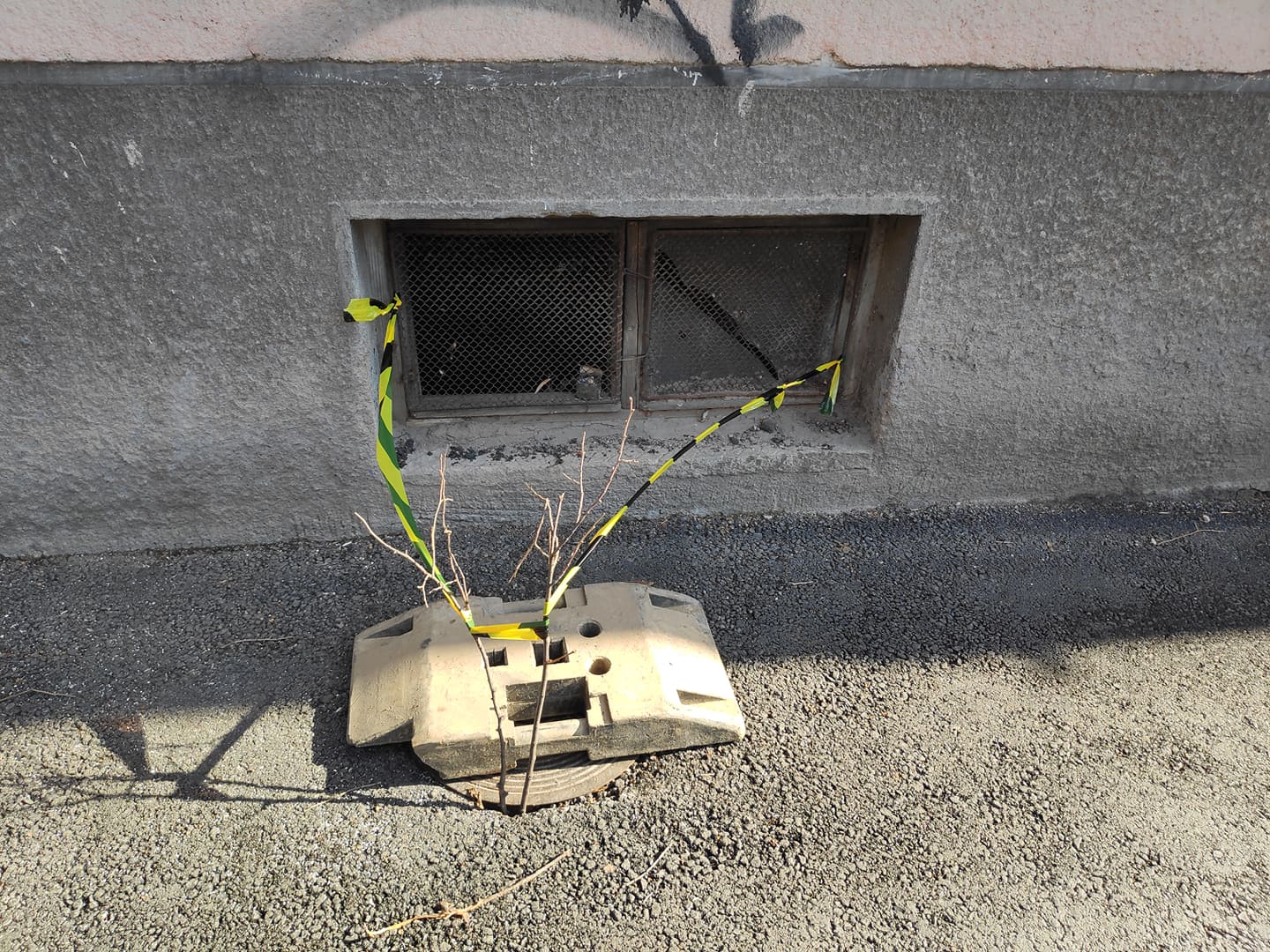 86304616_659836684755242_2370141933809958912_n