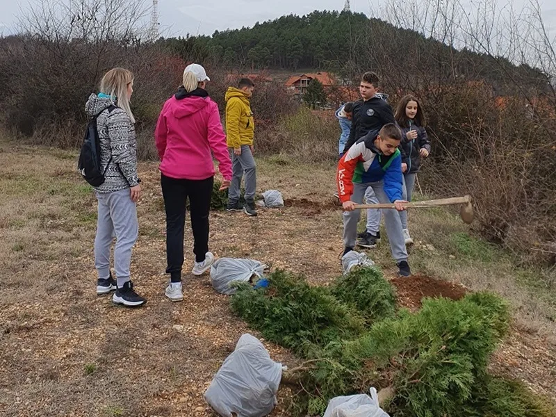 Omladinci sadili drveće na leskovačkom brdu Hisar 17 Posumljavanje 2 foto Kancelarija ya mlade