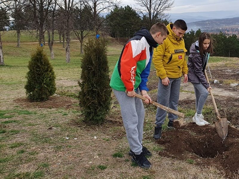Posumljavanje foto Kancelarija ya mlade