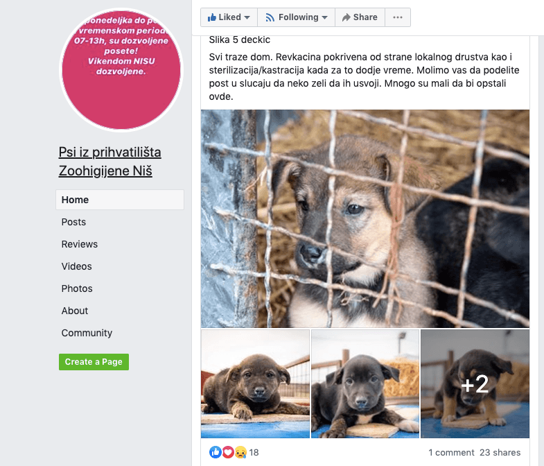 Screen Shot 2020 02 20 at 2 27 28 PM