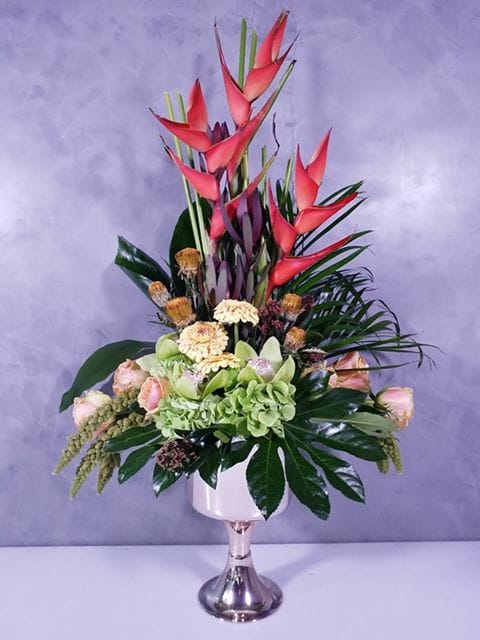 Nebojša Filipović cvećar cveće foto Nebojša Filipović1