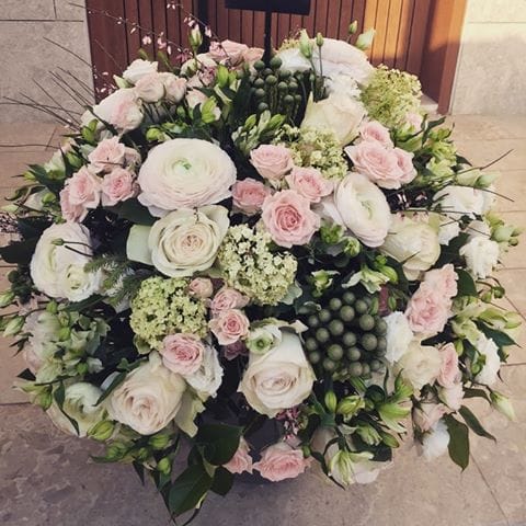 Nebojša Filipović cvećar cveće foto Nebojša Filipović4