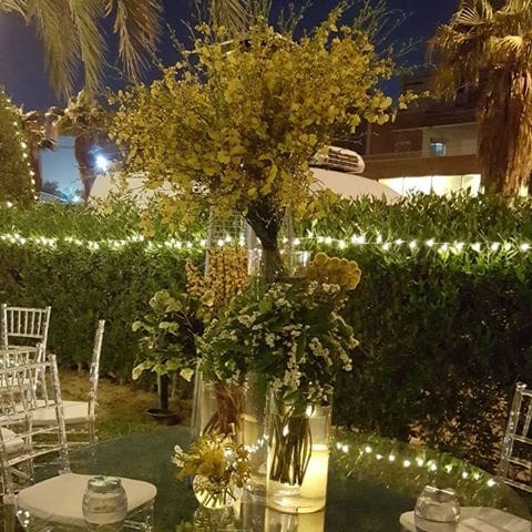 Nebojša Filipović cvećar cveće foto Nebojša Filipović5