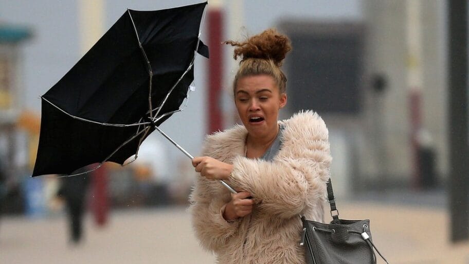 111093638 umbrella crop