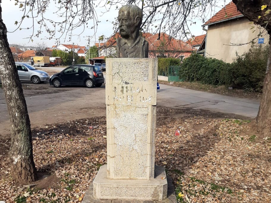 sindjelic foto citalac