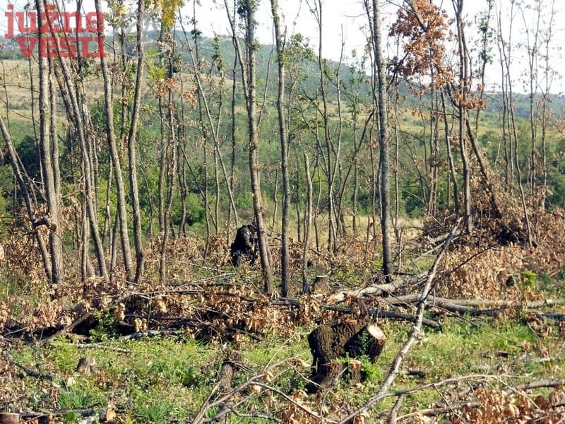 800x600 TRMKA ARHIVA