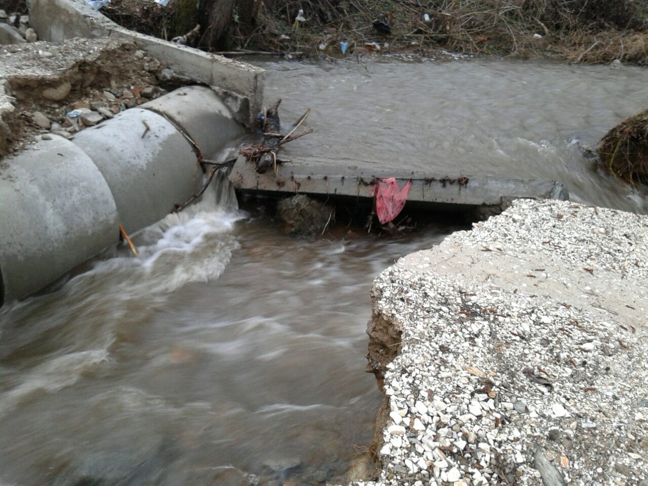 most surdulica foto citalac