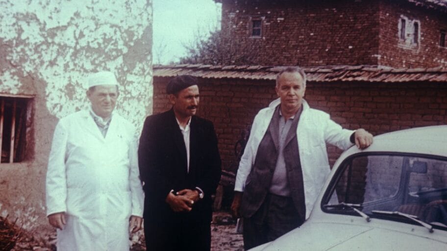 111254485 gettyimages 639212762