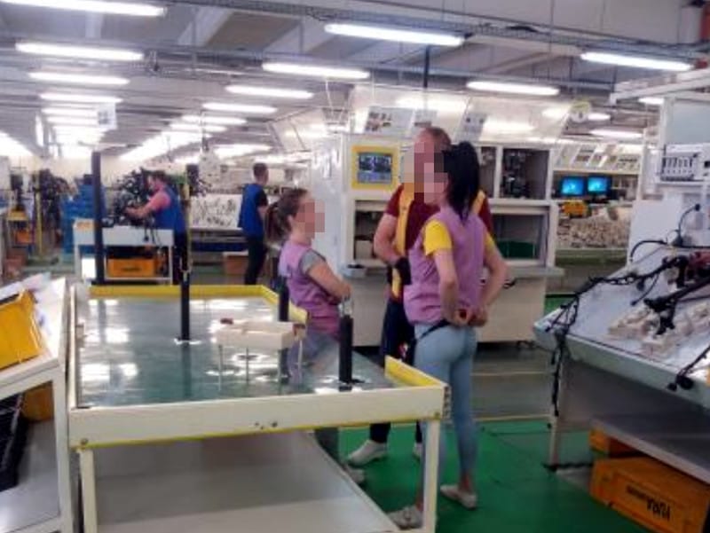 sinvon 3 foto citalac