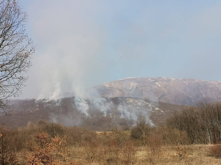 Pozar Suva planina mart 2020 foto D S