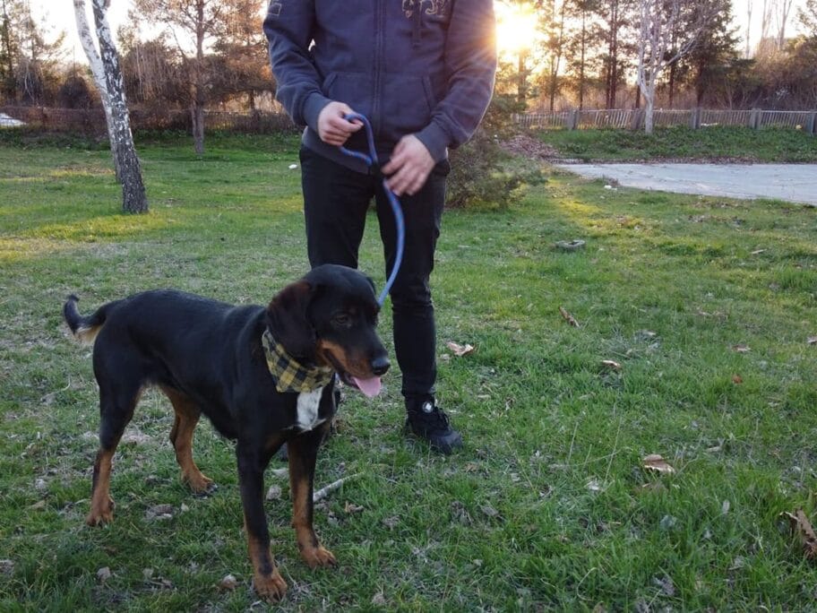 90644512 266513111011837 6108726753830633472 n Cropped 2