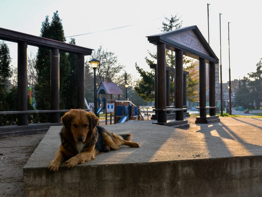 jutro u nisu subota 21 mart 2020 foto jv vanja keser 8