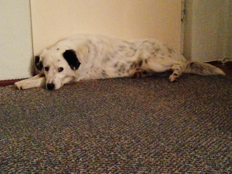 1280x0 90457057 219261529188120 1265040474817691648 n