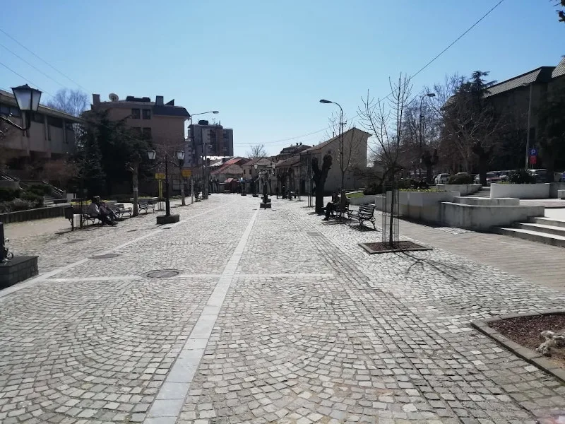 89925827 207524397008347 8090441178354286592 n