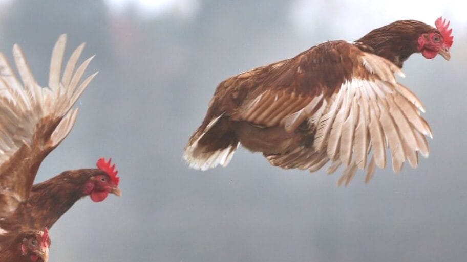 104715626 gettyimages 1059517914