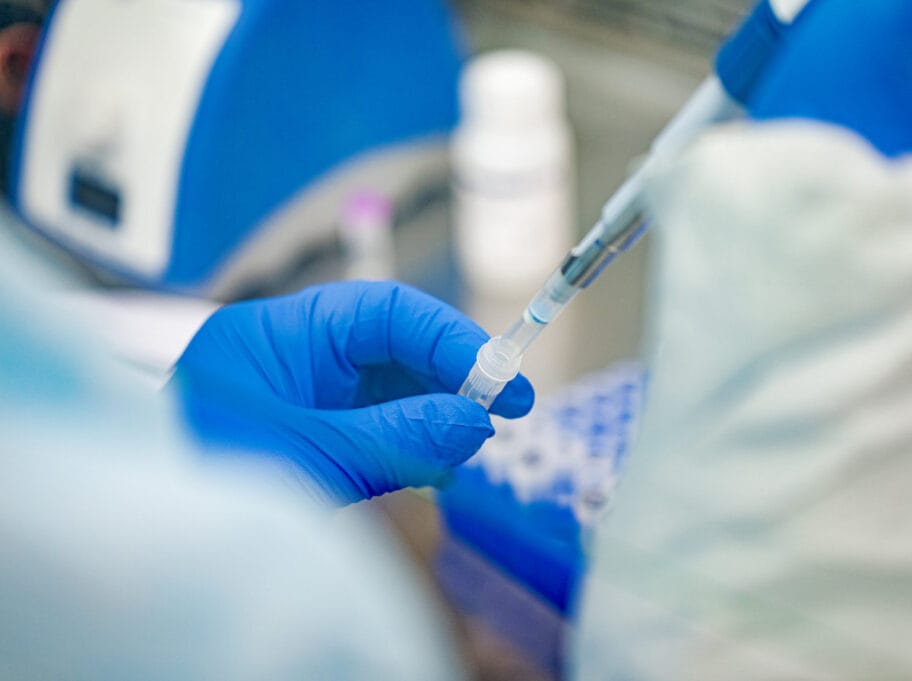 korona 1 foto flickr com Governor Tom Wolf