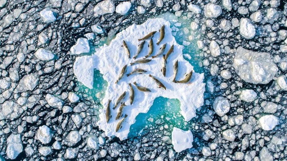 111396786 1 overall winner florian ledoux 2018ledoux 027 002 0214