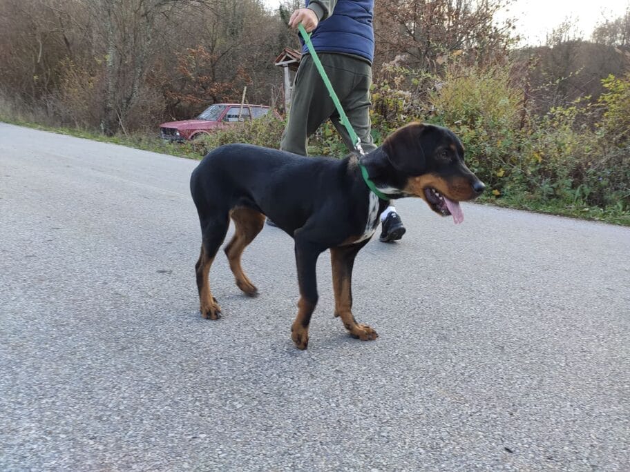 90847503 215998299516471 5766406409956622336 n