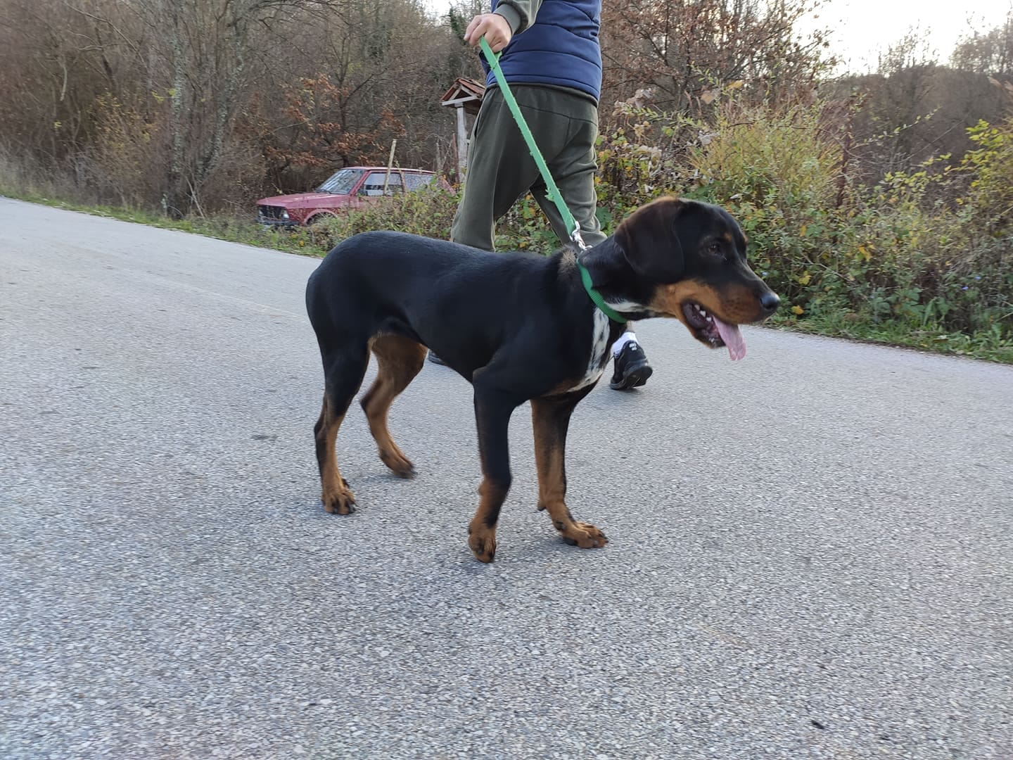 90847503 215998299516471 5766406409956622336 n