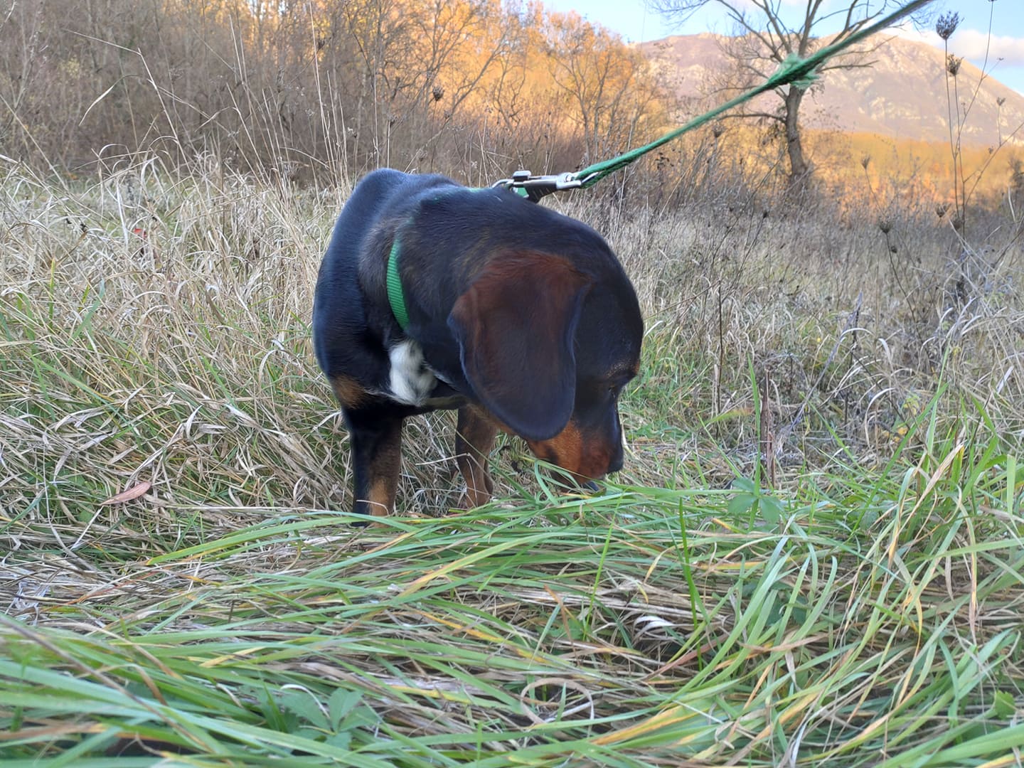 90614417 3557534097595860 5296293892625268736 n