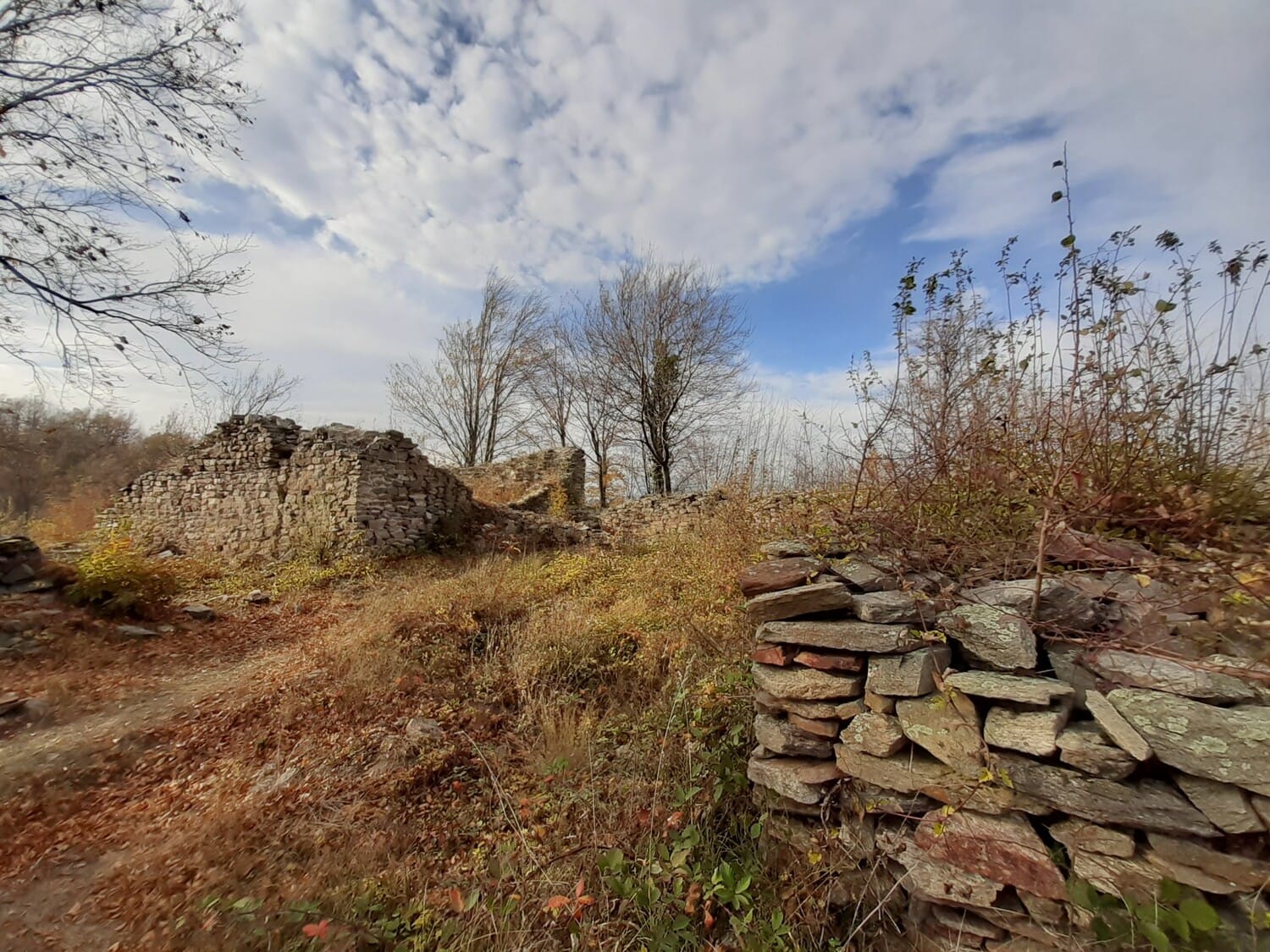 Skobaljic grad Vucje novembar 2019 foto Bojana Stamenkovic