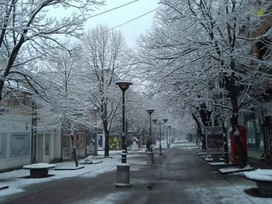 Sneg Prokuplje april 2020 foto Ljubisa Mitic