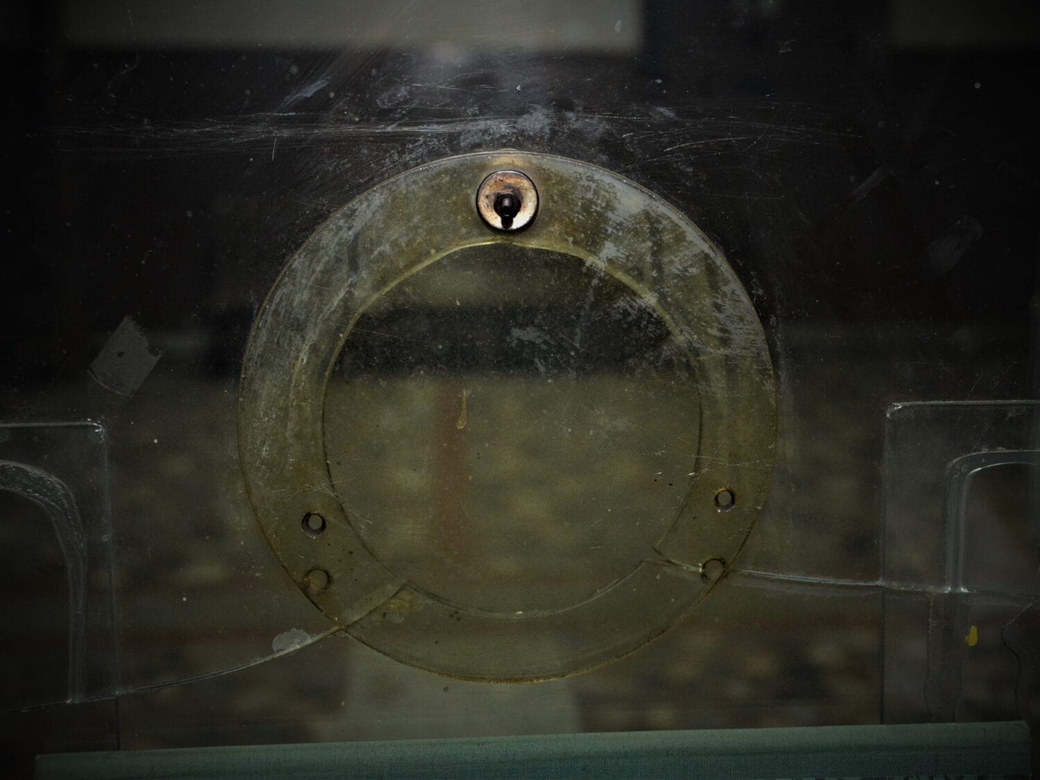 salter foto aleksandar kostic scaled