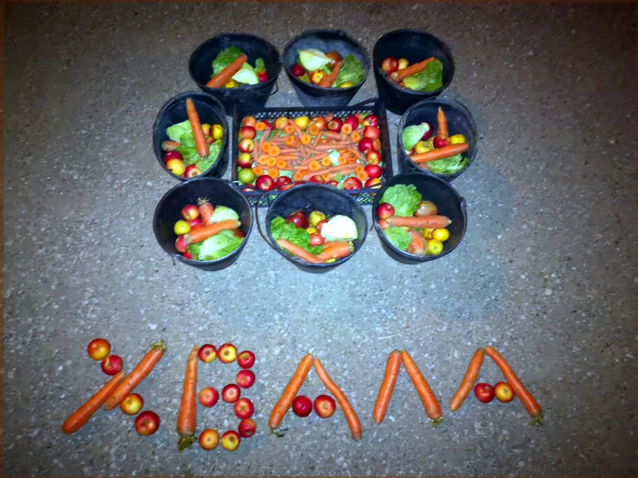 Povrce i voce donacija foto Zoo planet