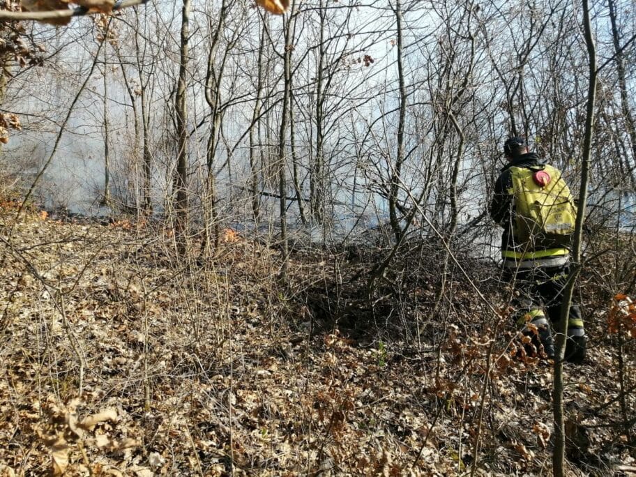 Pozar Svrljig 1 foto JV A Kostic