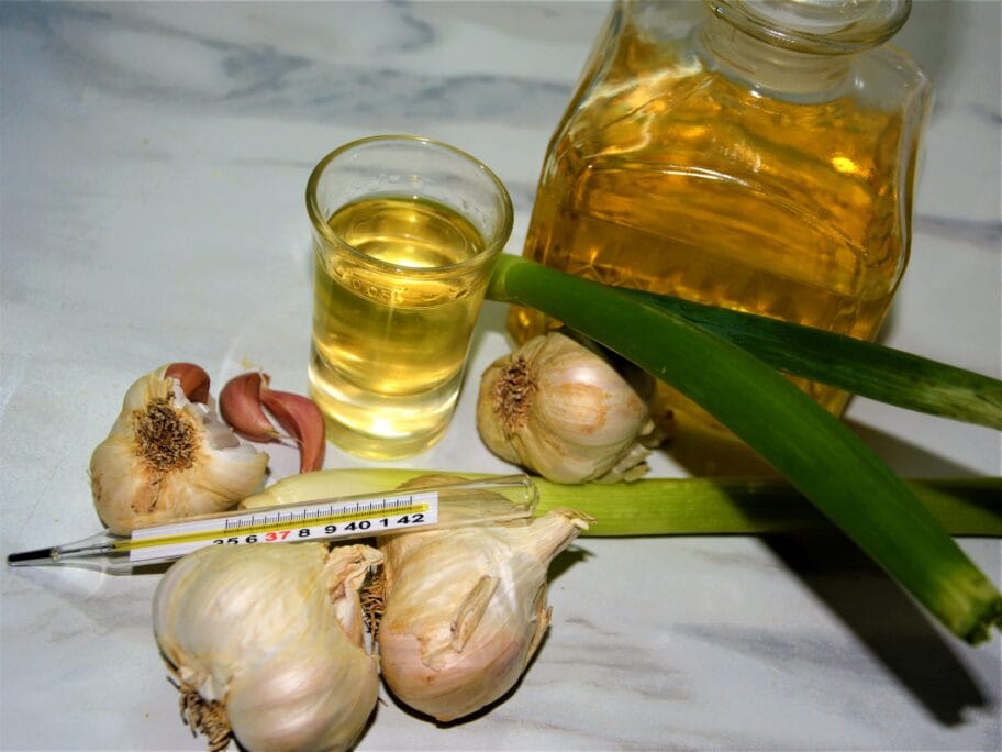 rakija beli luk i toplomer FOTO aleksandar kostic scaled