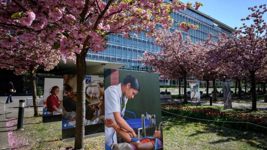 111814775 mediaitem111814745