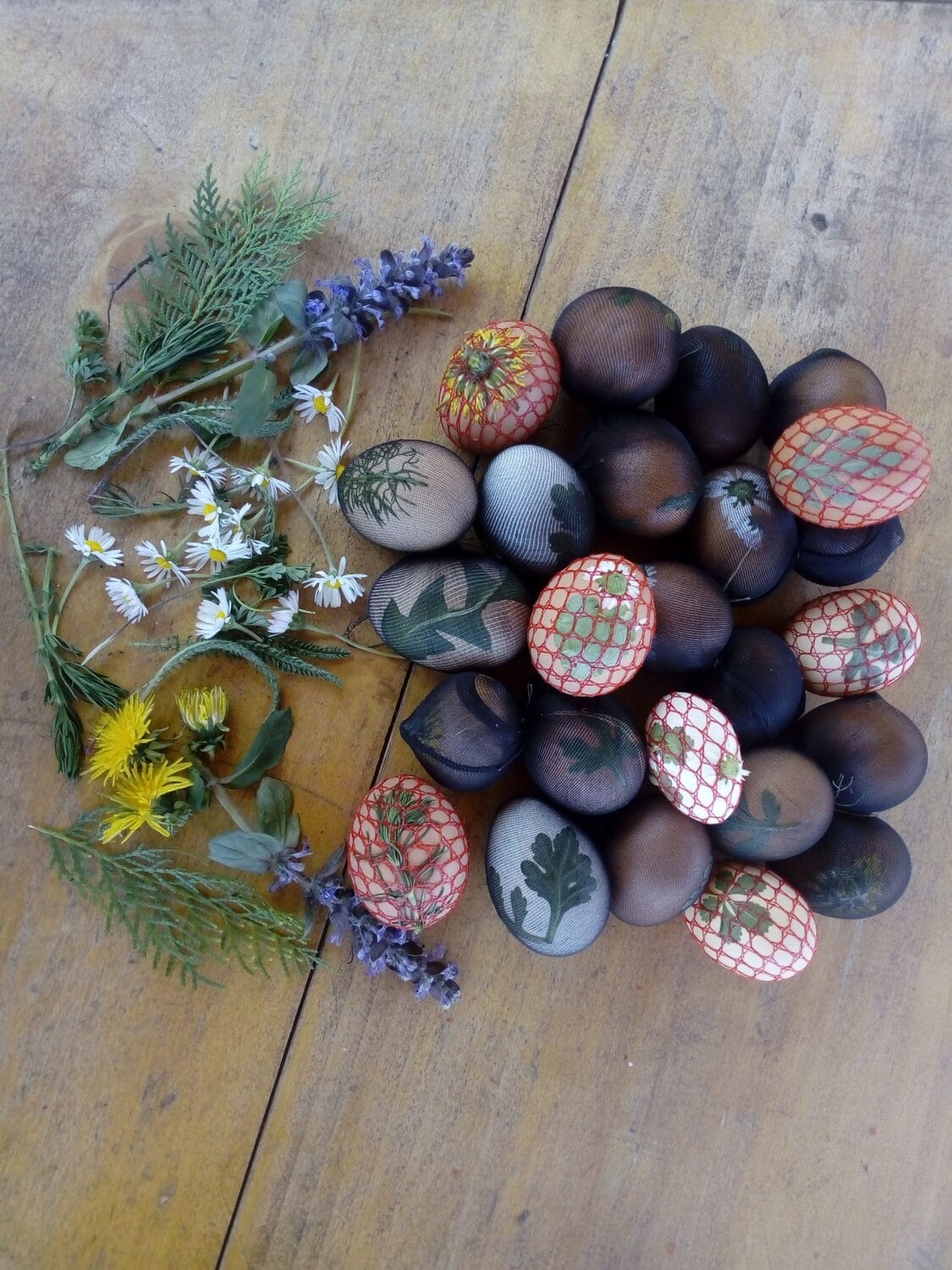 priprema za farbanje jaja, foto jv nm