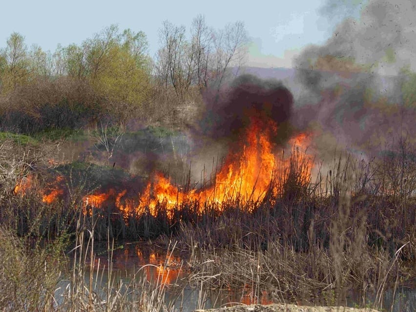 Pozar na J Moravi slikao M Stoickov Cropped