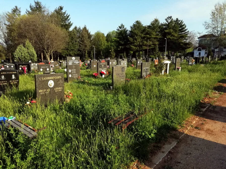 Grobovi Novo groblje Nis trava foto citateljka