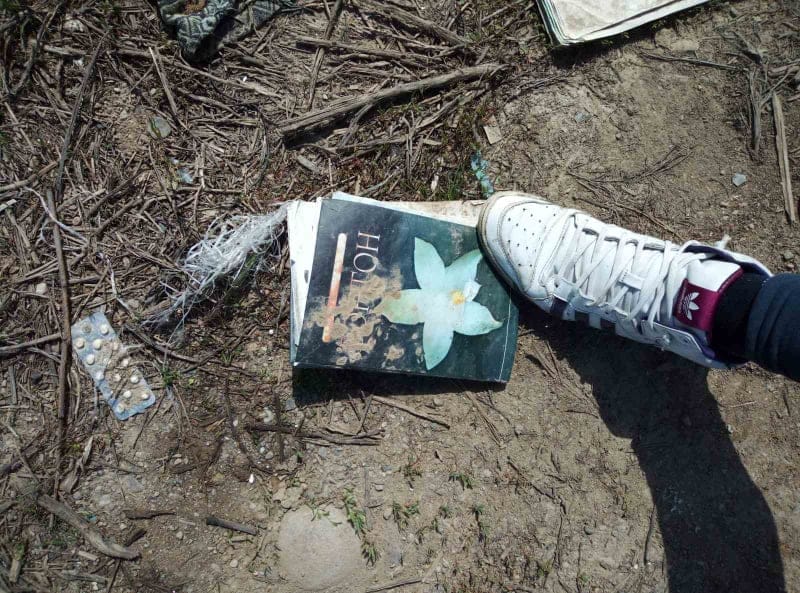 95586958 526940547996282 7363501599680888832 n