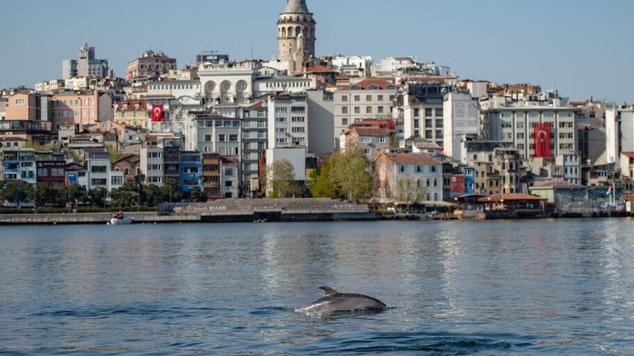 112010614 hi061221721