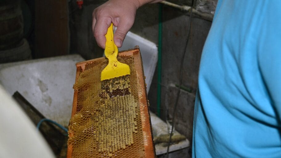 112009248 med01 fotomarijaraca