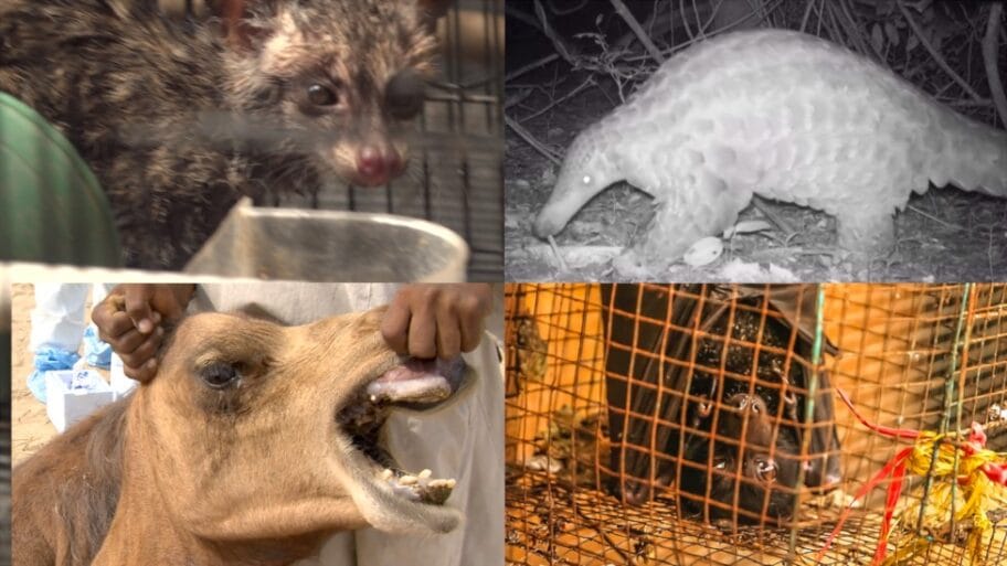 112106899 5cf05de7 901a 48eb 862f c6fc37b25372