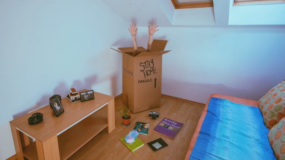 112168271 umetnostukarantinu fototajanadedicstarovic