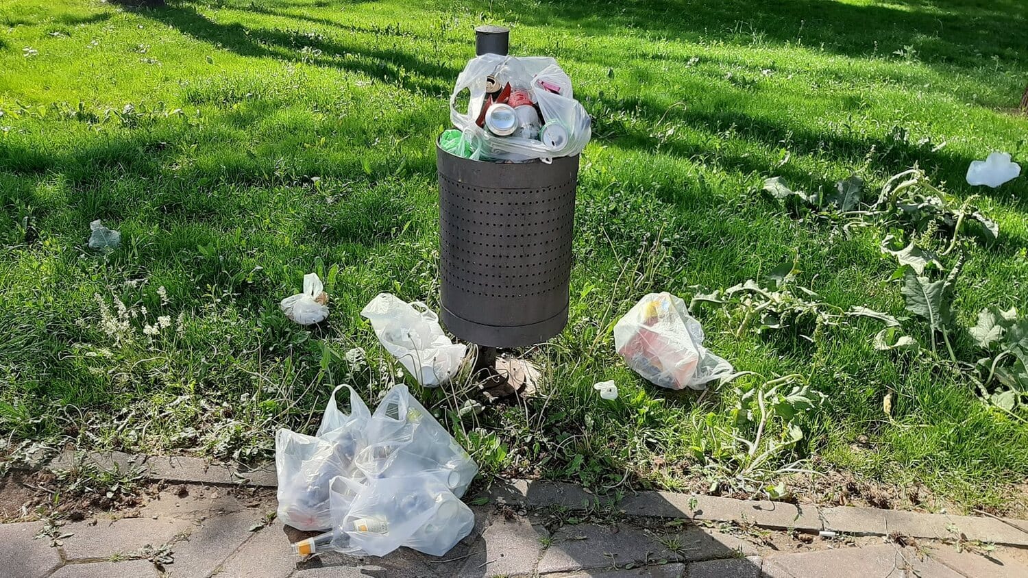 Smece na keju 5, maj 2020: foto: Isidora Smiljkovic